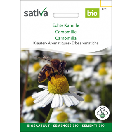 Sativa Rheinau Echte Kamille – Samen
