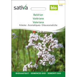 Sativa Rheinau Valerian – Seeds