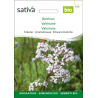 Sativa Rheinau Baldrian – Samen