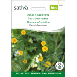 Sativa Rheinau Calendula des champs – Graines