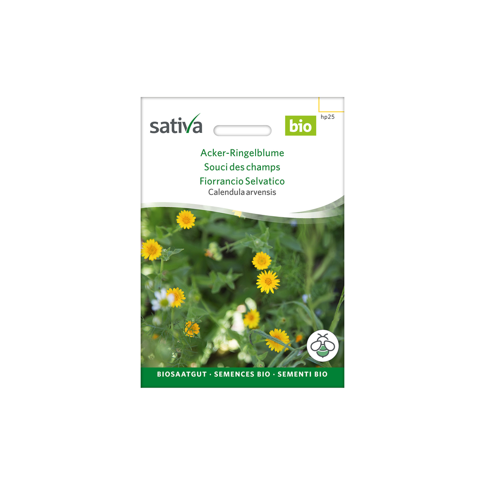 Sativa Rheinau Calendula des champs – Graines