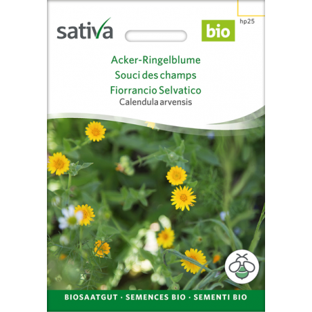 Sativa Rheinau Calendula des champs – Graines