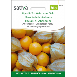 Sativa Rheinau Physalis / Baie des Andes « Schönbrunner Gold » – Graines