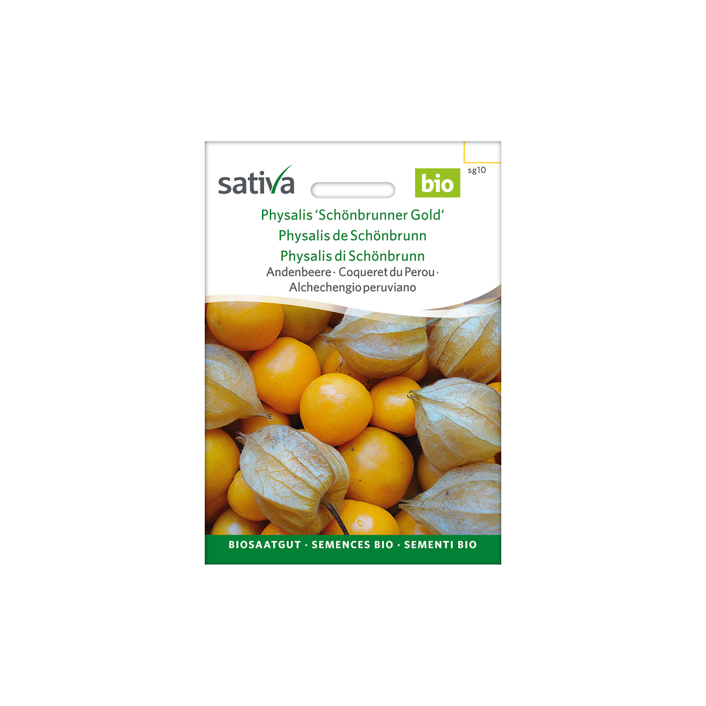 Sativa Rheinau Physalis / Andenbeere 'Schönbrunner Gold' – Samen