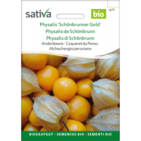 Sativa Rheinau Physalis / Baie des Andes « Schönbrunner Gold » – Graines
