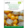 Sativa Rheinau Physalis / Andean berry “Schönbrunner Gold” – Seeds