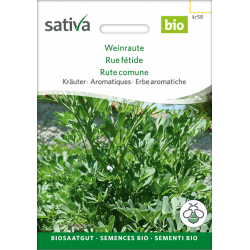 Sativa Rheinau Rue herb – Seeds