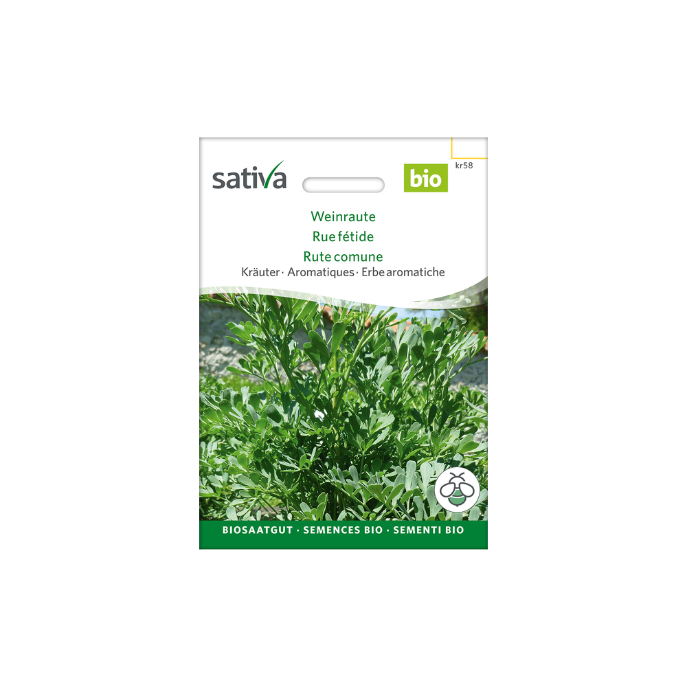 Sativa Rheinau Rue herbes – Graines