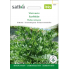Sativa Rheinau Weinraute – Samen