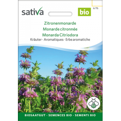 Sativa Rheinau Zitronenmonarde – Samen