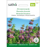 Sativa Rheinau Monarde citronnée – Graines