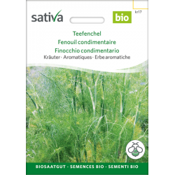 Sativa Rheinau Teefenchel – Samen