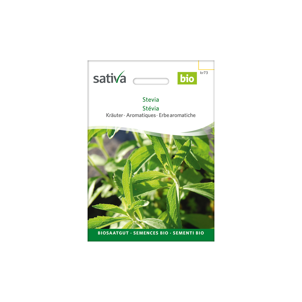 Sativa Rheinau Stevia – Seeds