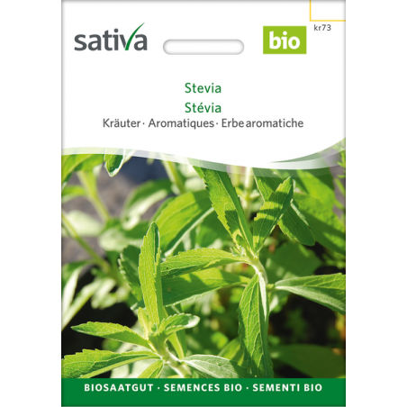 Sativa Rheinau Stevia – Seeds