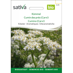 Sativa Rheinau Caraway – Seeds