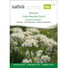 Sativa Rheinau Kümmel – Samen