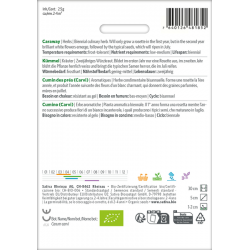 Sativa Rheinau Kümmel – Samen