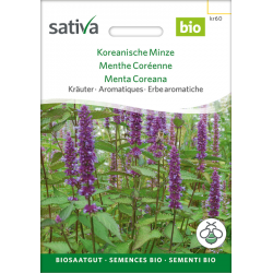 Sativa Rheinau Koreanische Minze – Samen