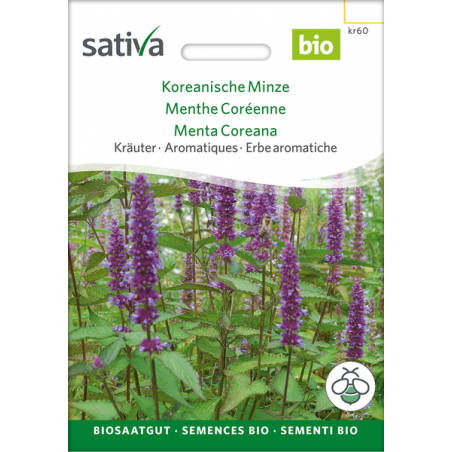 Sativa Rheinau Korean Mint – Seeds