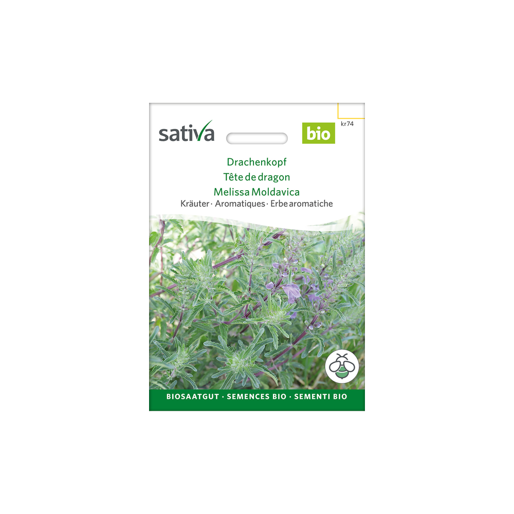 Sativa Rheinau Tête-de-dragon – Graines