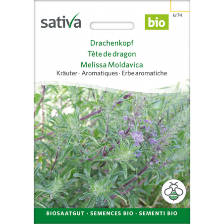 Sativa Rheinau Dragon's Head – Seeds