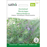 Sativa Rheinau Tête-de-dragon – Graines