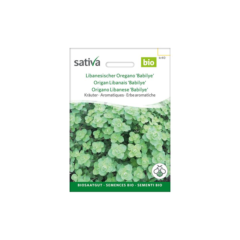 Sativa Rheinau Libanesischer Oregano 'Babilye' – Samen