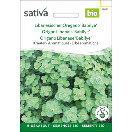 Sativa Rheinau Libanesischer Oregano 'Babilye' – Samen