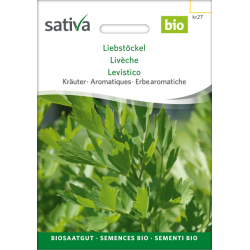 Sativa Rheinau Liebstöckel – Samen