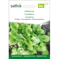 Sativa Rheinau Löffelkraut – Samen