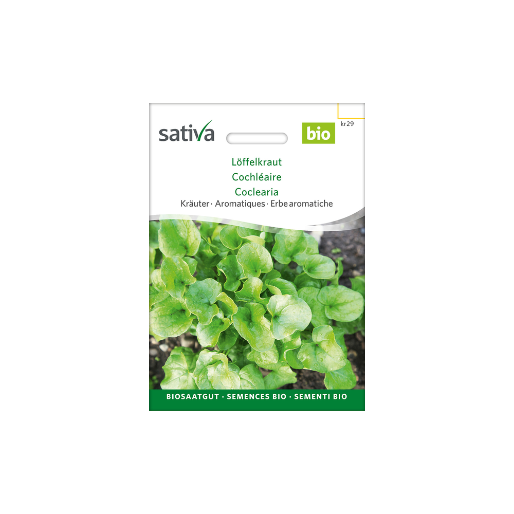 Sativa Rheinau Löffelkraut – Samen