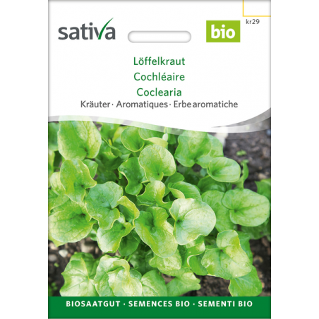 Sativa Rheinau Spoonwort – Seeds