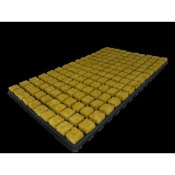 Cutilene - Substrate - Display SBS 25/150