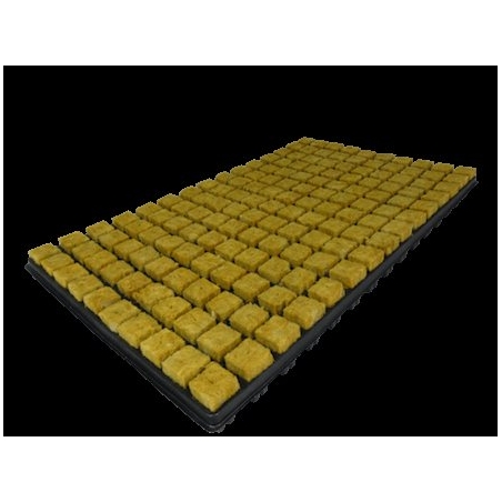Cutilene - Substrate - Display SBS 25/150