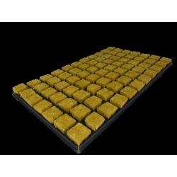 Cutilene - Substrate - Display SBS 36/77