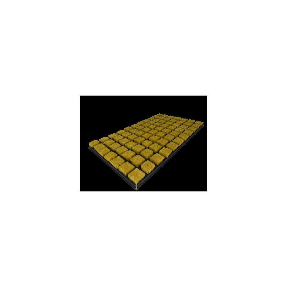 Cutilene - Substrate - Display SBS 36/77