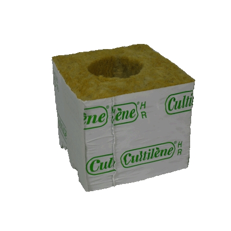 Cutilene - Substrates - Cube 7,5cm with 40 mm Hole 10 pc.
