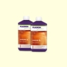 Plagron Coco A+B 2 x 1 L