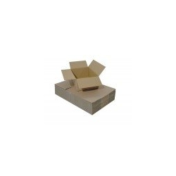 Boite de carton pour boutures, dimensions intérieures 500x300x180mm
