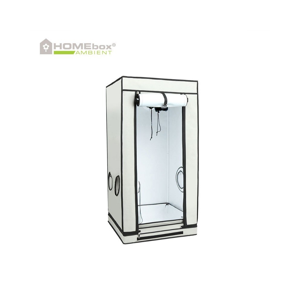 Homebox Ambient Q80