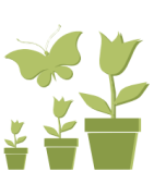 Pots / Plateaux / Container