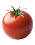 Tomato seeds