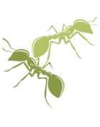 Phytosanitaires: pesticides, désinfection, nettoyage, accessoires