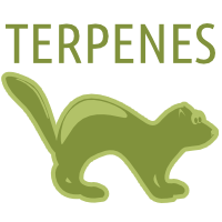 Terpene