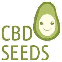 Feminisierte CBD-Samen