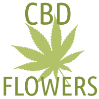 Hanfblüten mit CBD