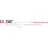 GSE