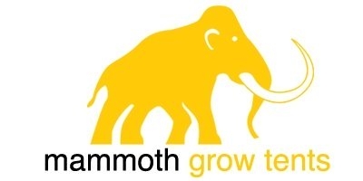 Mammoth