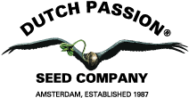 Dutch Passion