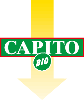 Capito